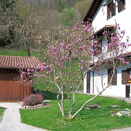 In Fattoria فندق مبيت وإفطار