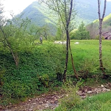 فندق مبيت وإفطار In Fattoria