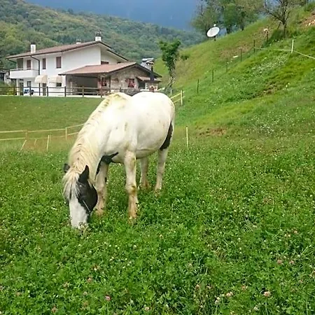 In Fattoria 3* Frisanco
