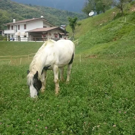 Nocleg ze śniadaniem In Fattoria