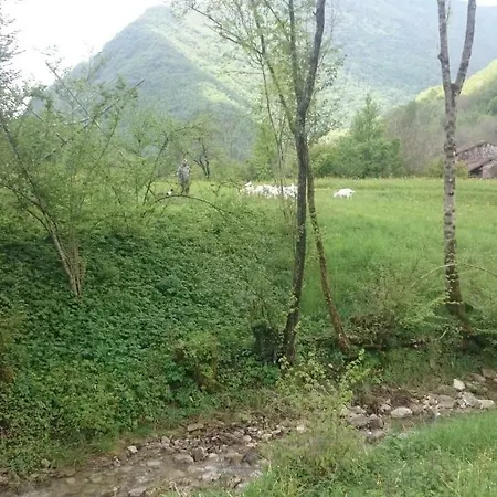 In Fattoria Frisanco