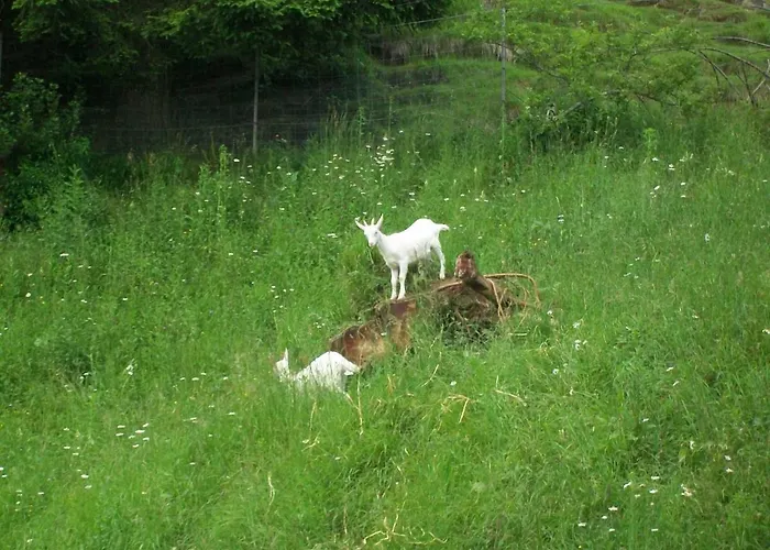 Panzió In Fattoria 3*