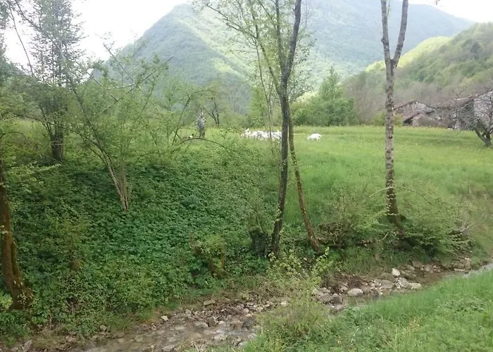 In Fattoria Frisanco